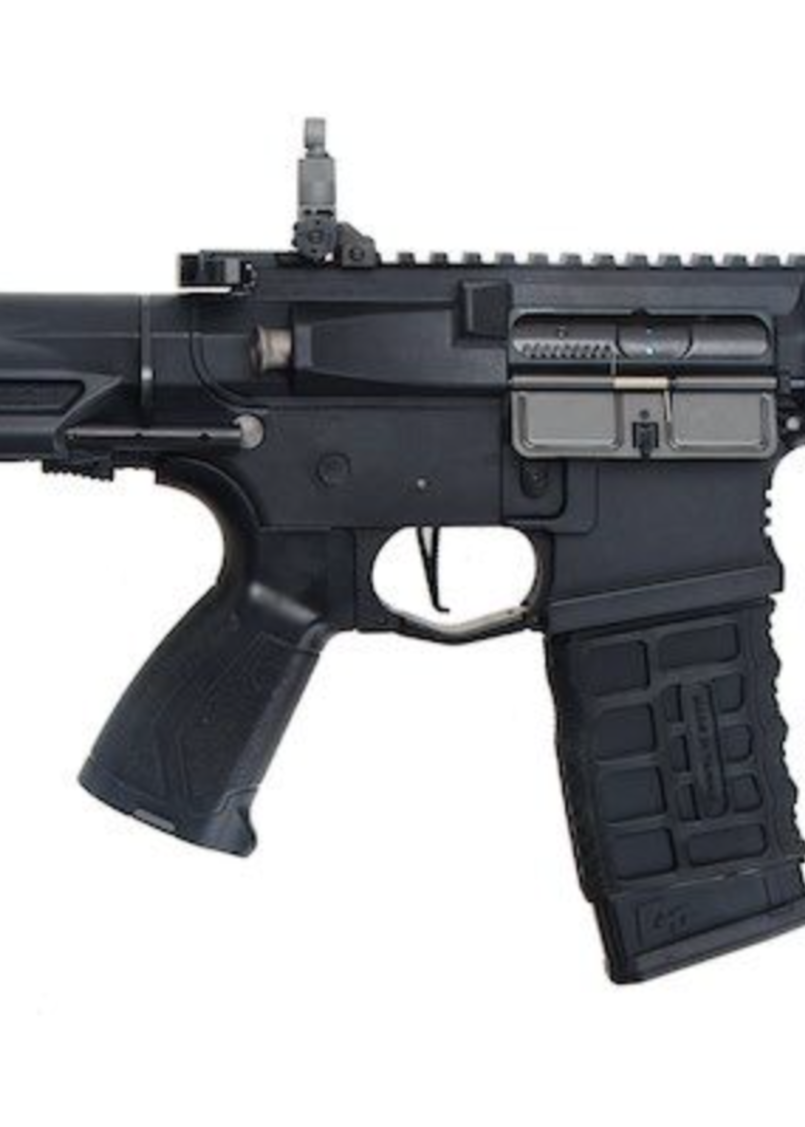 G&G ARP 556 2.0 (Black)