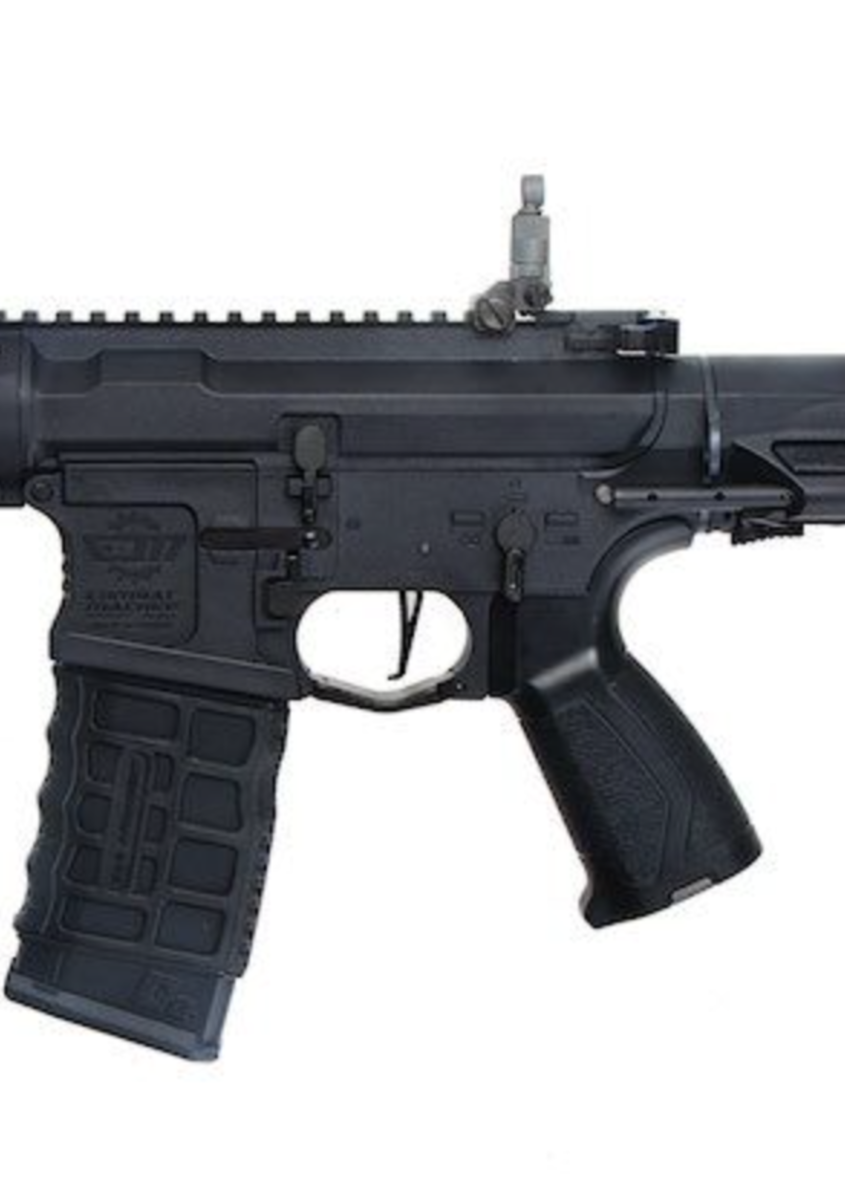G&G ARP 556 2.0 (Black)