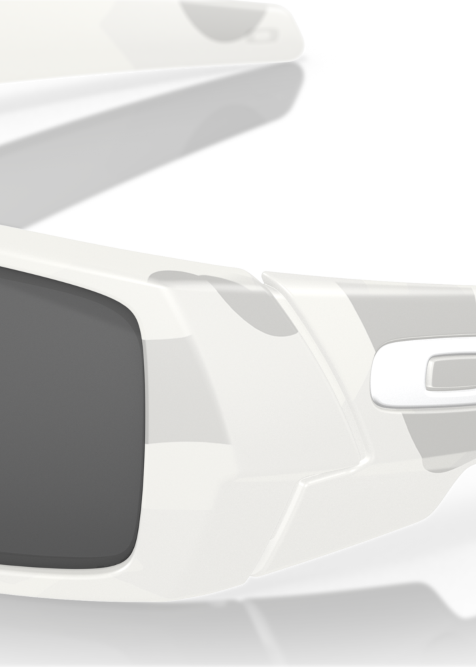 Oakley Gascan (Multicam Alpine)