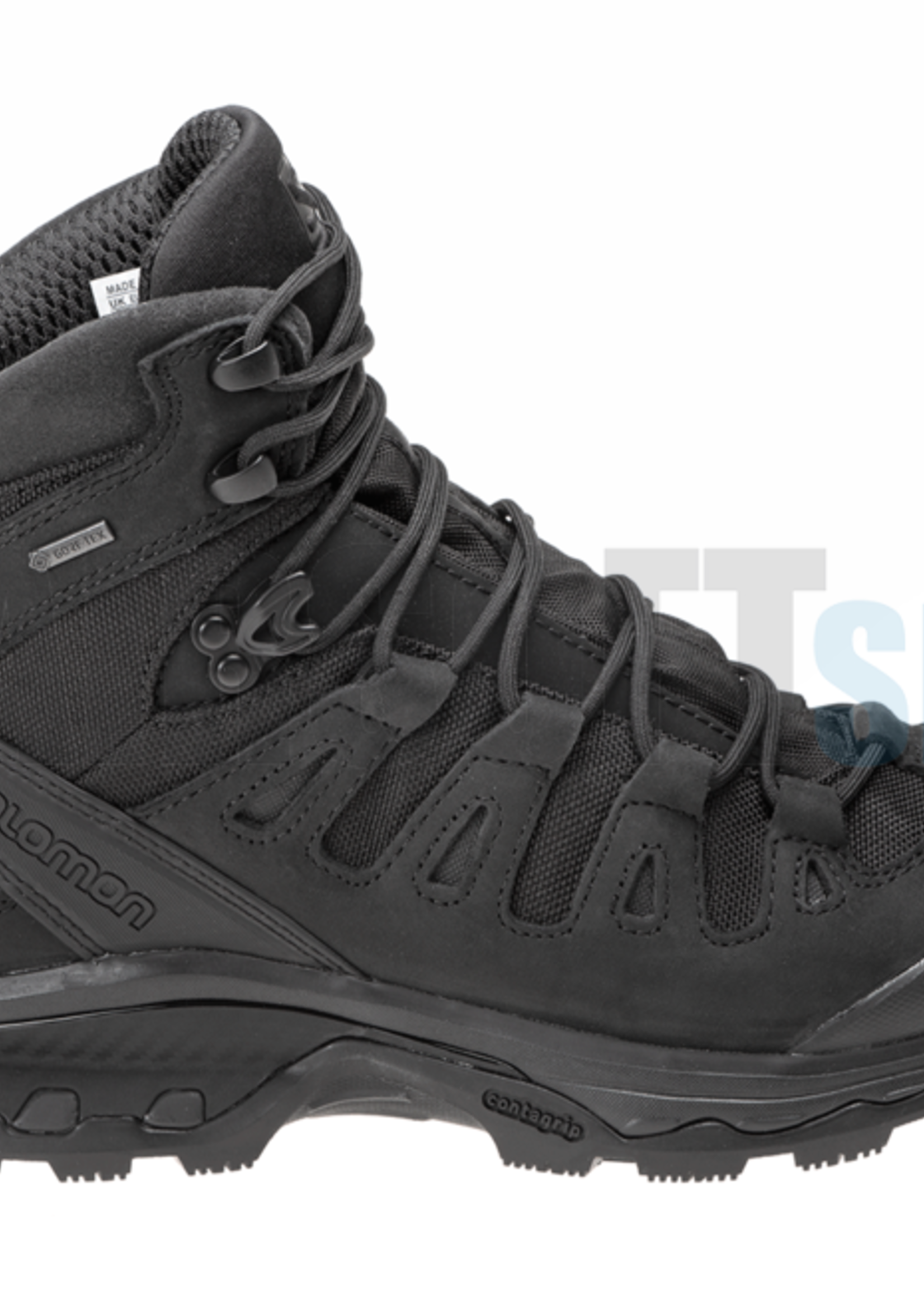 Salomon Quest 4D GTX Forces 2 EN Boots (Black)