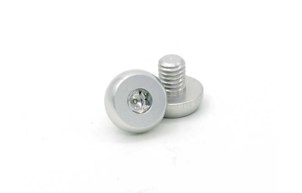 CNC Stainless Steel Grip Screws For Hi-Capa (Silver)