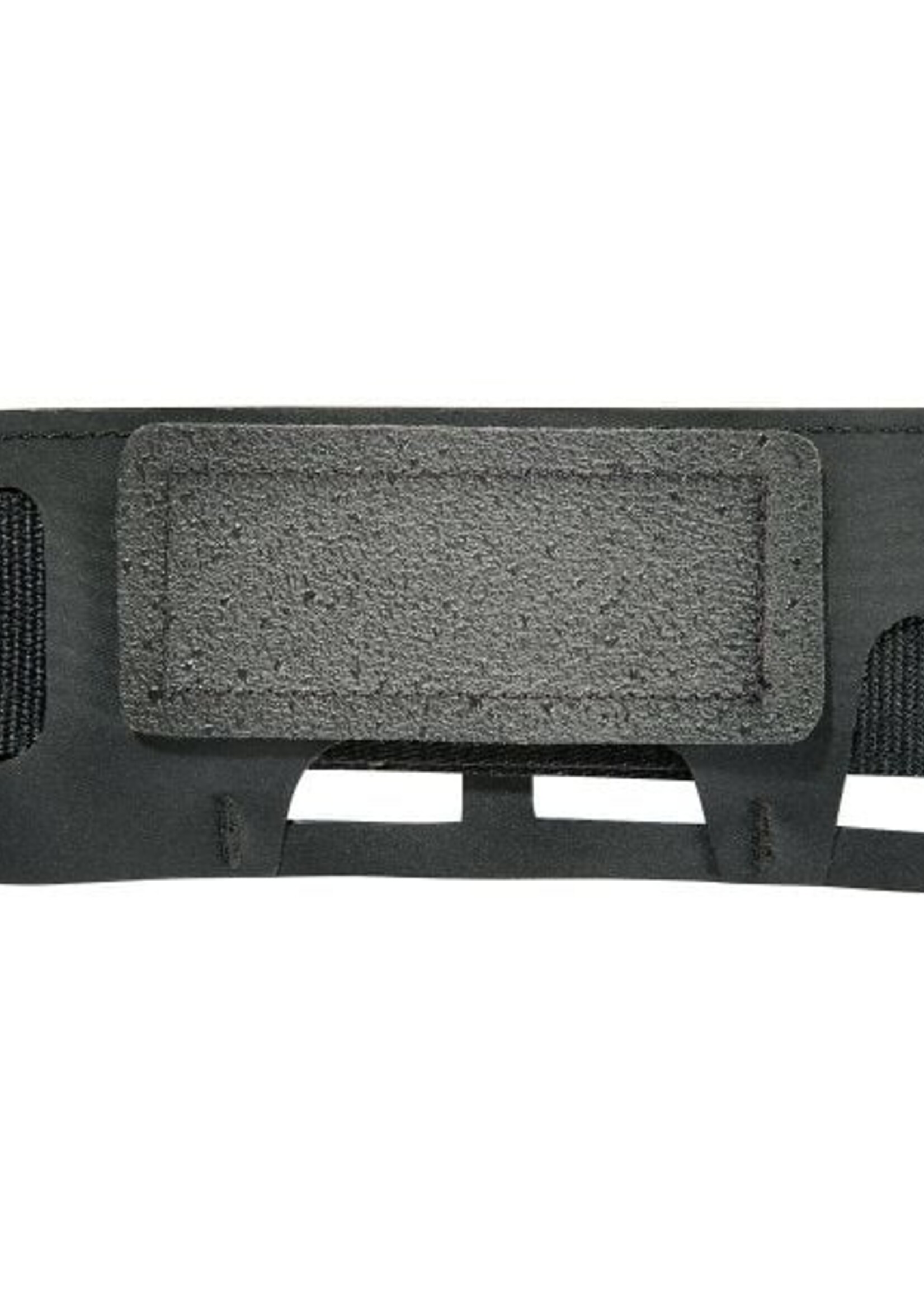 Tasmanian Tiger Molle Hip Belt (Black)