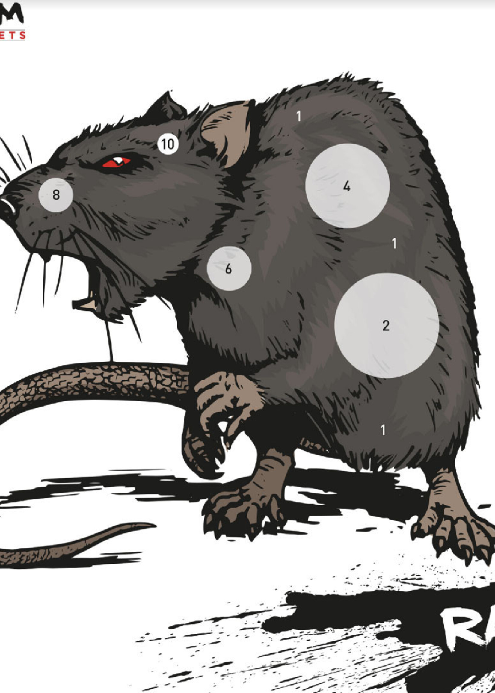 RAM Schietkaarten 14x14cm (Rat)