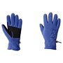 Barts Damen Handschuhe Blau