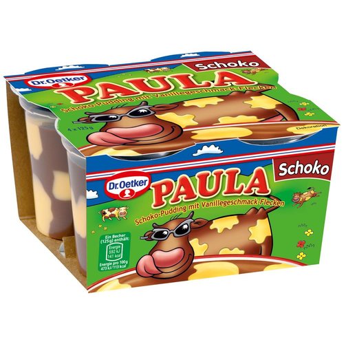 Dr Oetker Paula Schoko (4x125g)