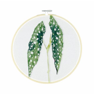 Olislagers Hoops - Polkadot plant - L