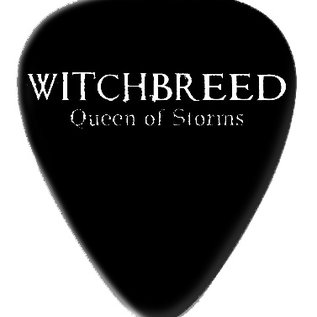 Other Queen Of Storms guitarpick