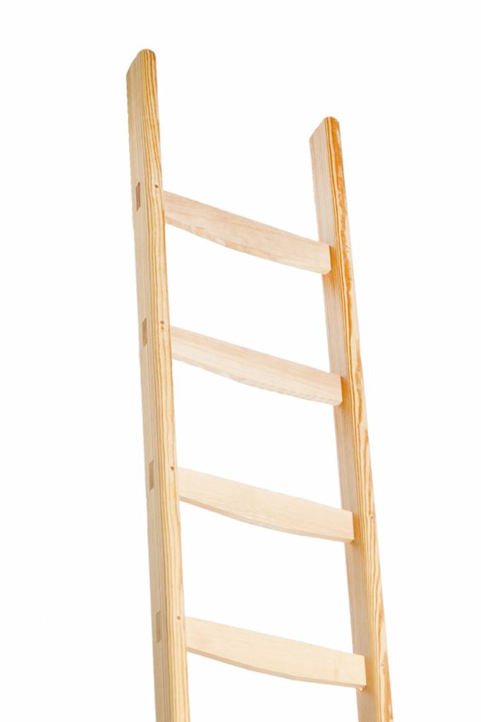 Ruwe slaap Oxide reinigen Rechte houten enkele ladder | #1 in Trappen | Houtenladders.nl