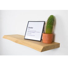 Boomstam wandplank onbehandeld