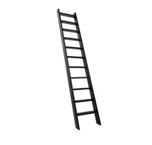 Zwarte trap (Zoldertrap RAL9005)