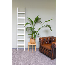 Enkele beuken houten ladder (wit)