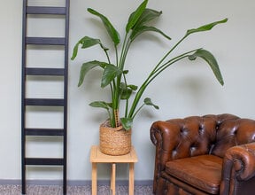 Enkele zwarte houten ladder