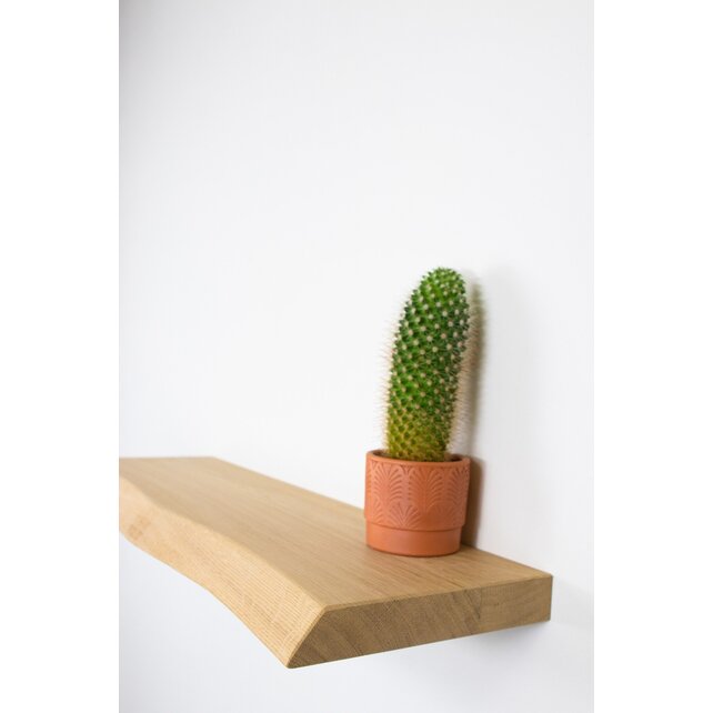 S431- boom onbehandeld - 60 cm