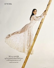 Enkele houten ladder (vaste ladder)