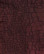 Pretty Polly Metallic Design Panty