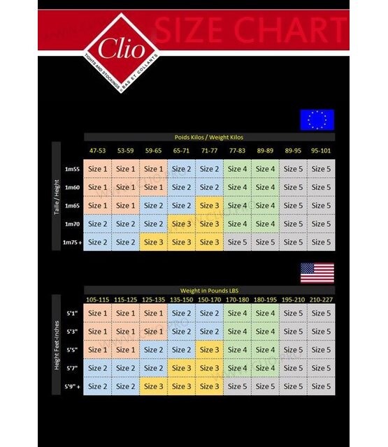 Clio Fishnet Stay Ups met Kanten Boord – Franse Elegantie