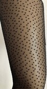 Pretty Polly Microdot Panty Pretty Polly Microdot Panty