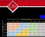 Clio 15D. Backseam Suspender Stockings