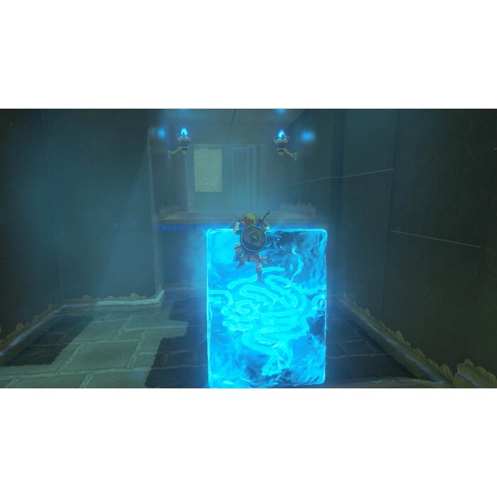 Nintendo Nintendo Switch The Legend of Zelda: Breath of the Wild