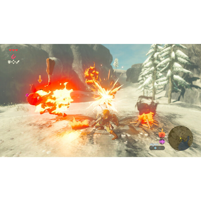 Nintendo Nintendo Switch The Legend of Zelda: Breath of the Wild