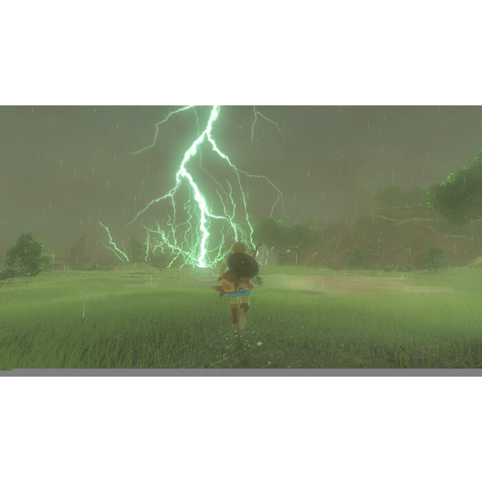 Nintendo Nintendo Switch The Legend of Zelda: Breath of the Wild