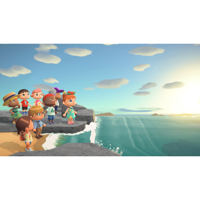 Nintendo Nintendo Switch Animal Crossing: New Horizons