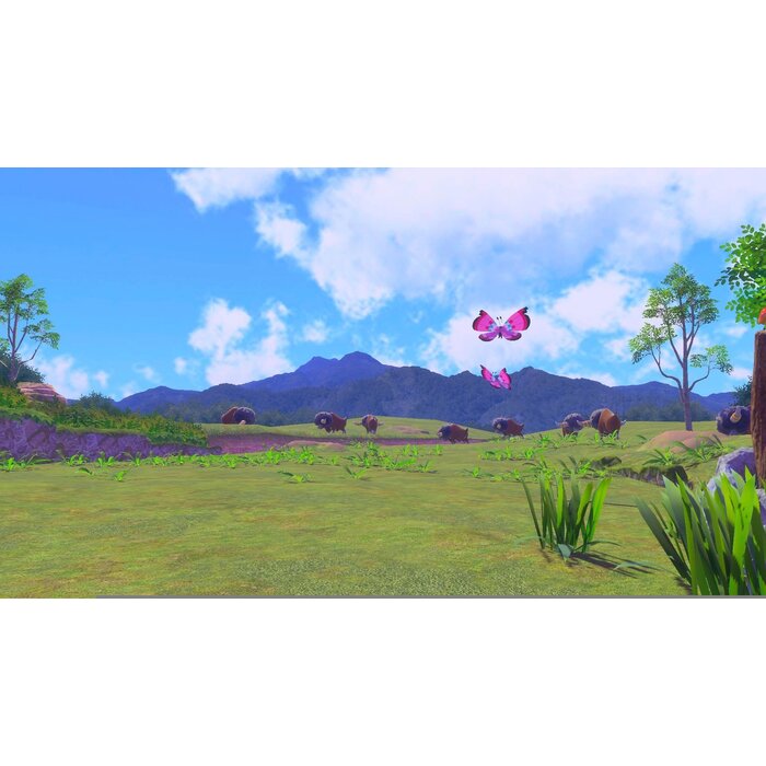 Nintendo Nintendo Switch New Pokemon Snap