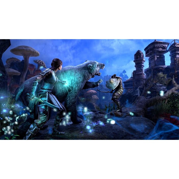 Bethesda PS4 The Elder Scrolls Online: Tamriel Unlimited