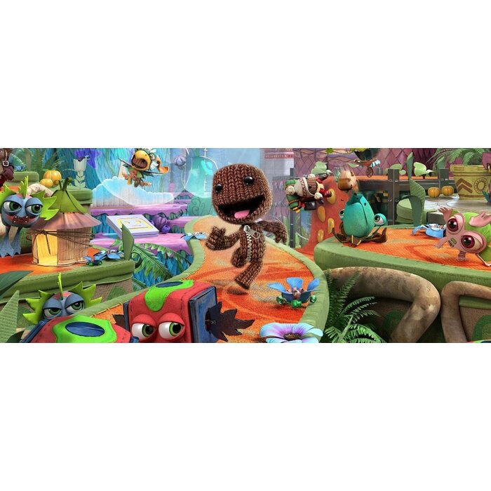 Sony PS4 Sackboy: A Big Adventure
