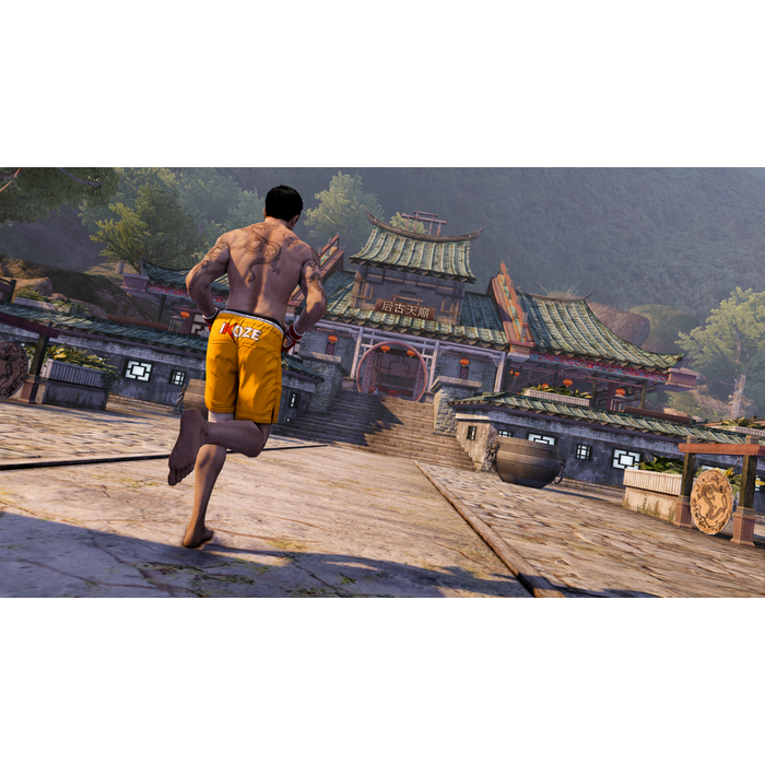 Square Enix PS4 Sleeping Dogs Definitive Edition