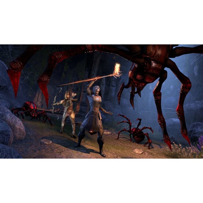 Bethesda PS4 The Elder Scrolls Online: Summerset