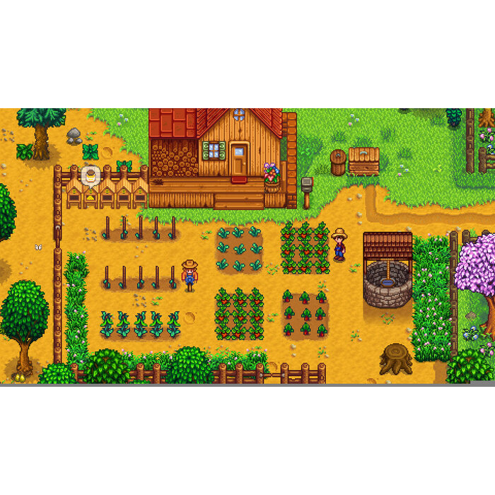 505 Games Nintendo Switch Stardew Valley