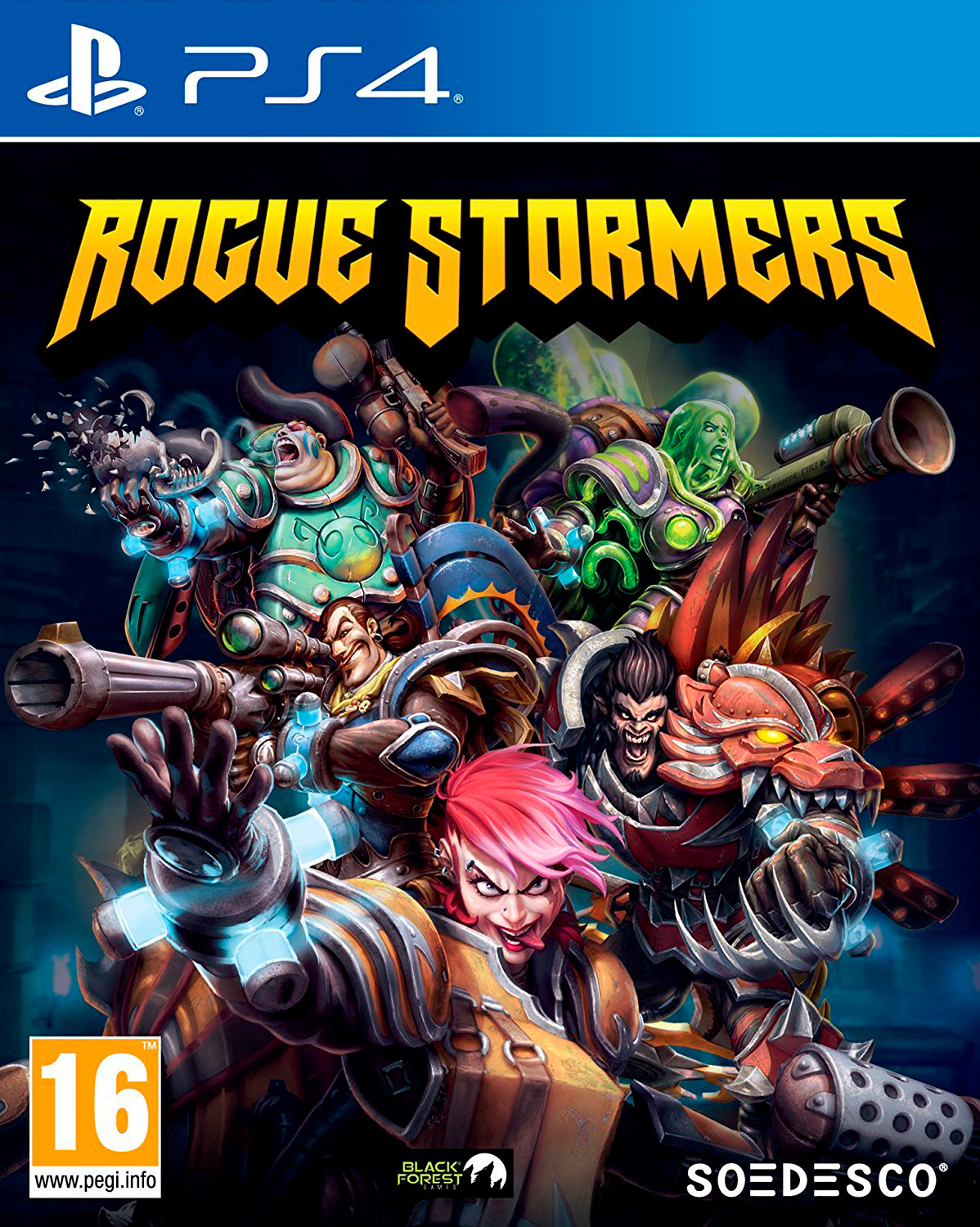 PS4 Rogue Stormers afbeelding
