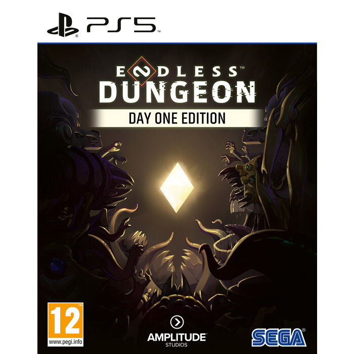 Plaion PS5 Endless Dungeon - Day One Edition