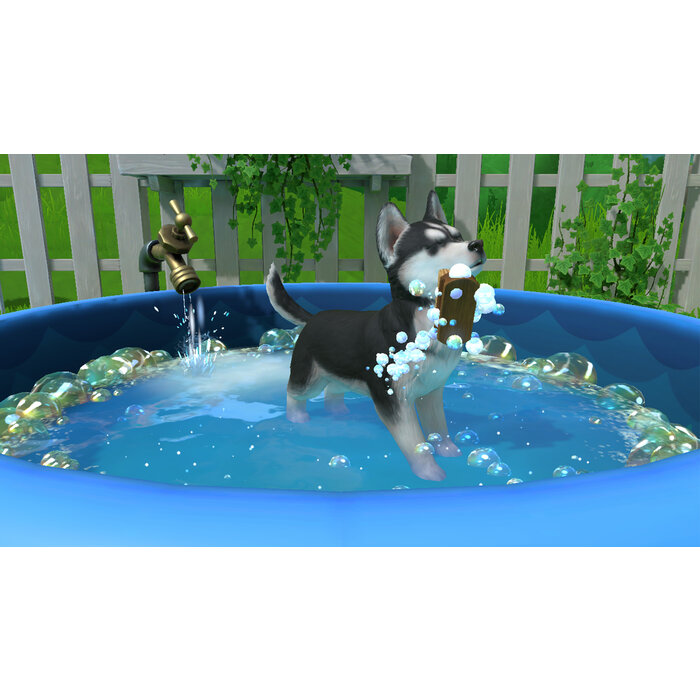 Plaion Nintendo Switch Little Friends: Puppy Island