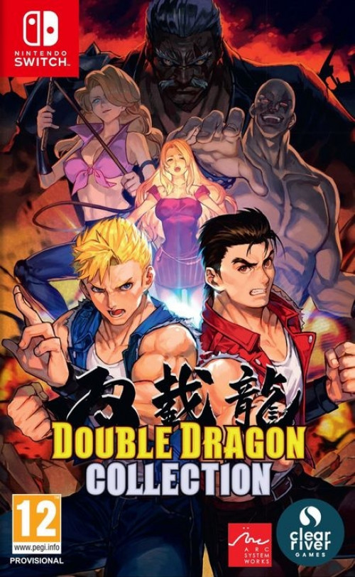 Nintendo Switch Double Dragon Collection afbeelding