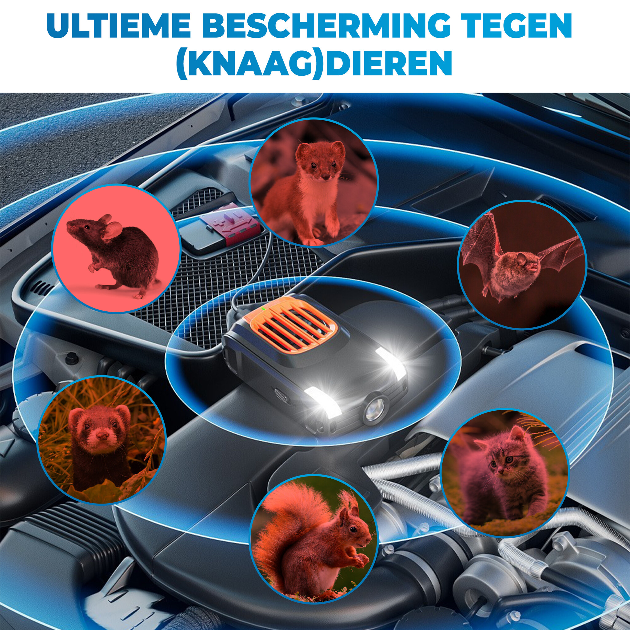 JVS Products Marterverjager - Ongedierteverjager - USB-C - Accu 12V - Steenmarter Verjager - Marterverjager Auto - Diervriendelijk - Binnen en Auto - Ultrasoon en Flitslicht - Zwart