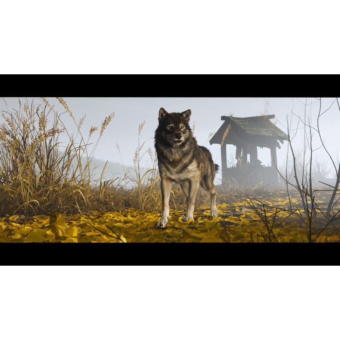 Sony PS5 Ghost of Yotei