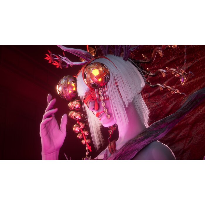 Team Ninja PS5 Ninja Gaiden 4