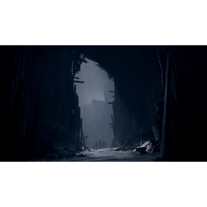 Thq Nordic Xbox Series X Reanimal