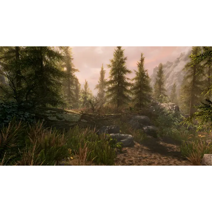 Aerosoft PS5 Park Ranger Simulator