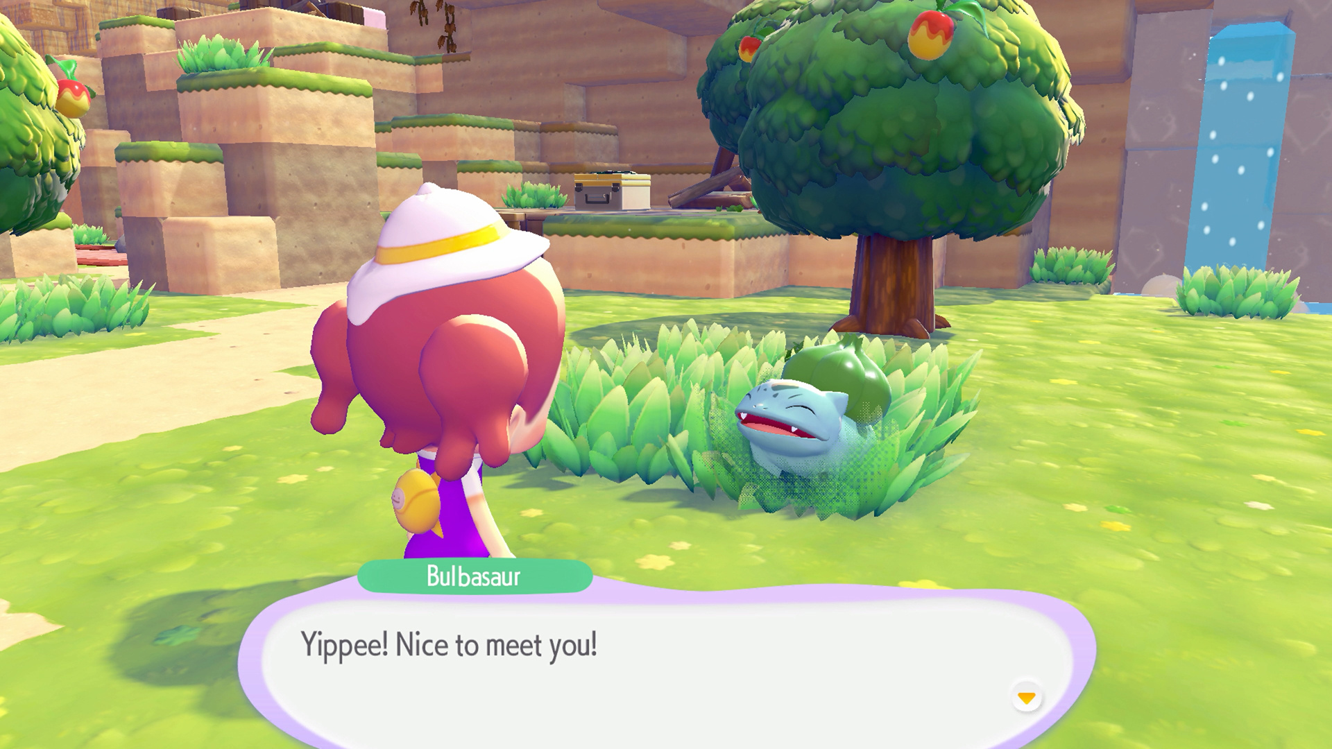 Nintendo Nintendo Switch 2 Pokemon Pokopia