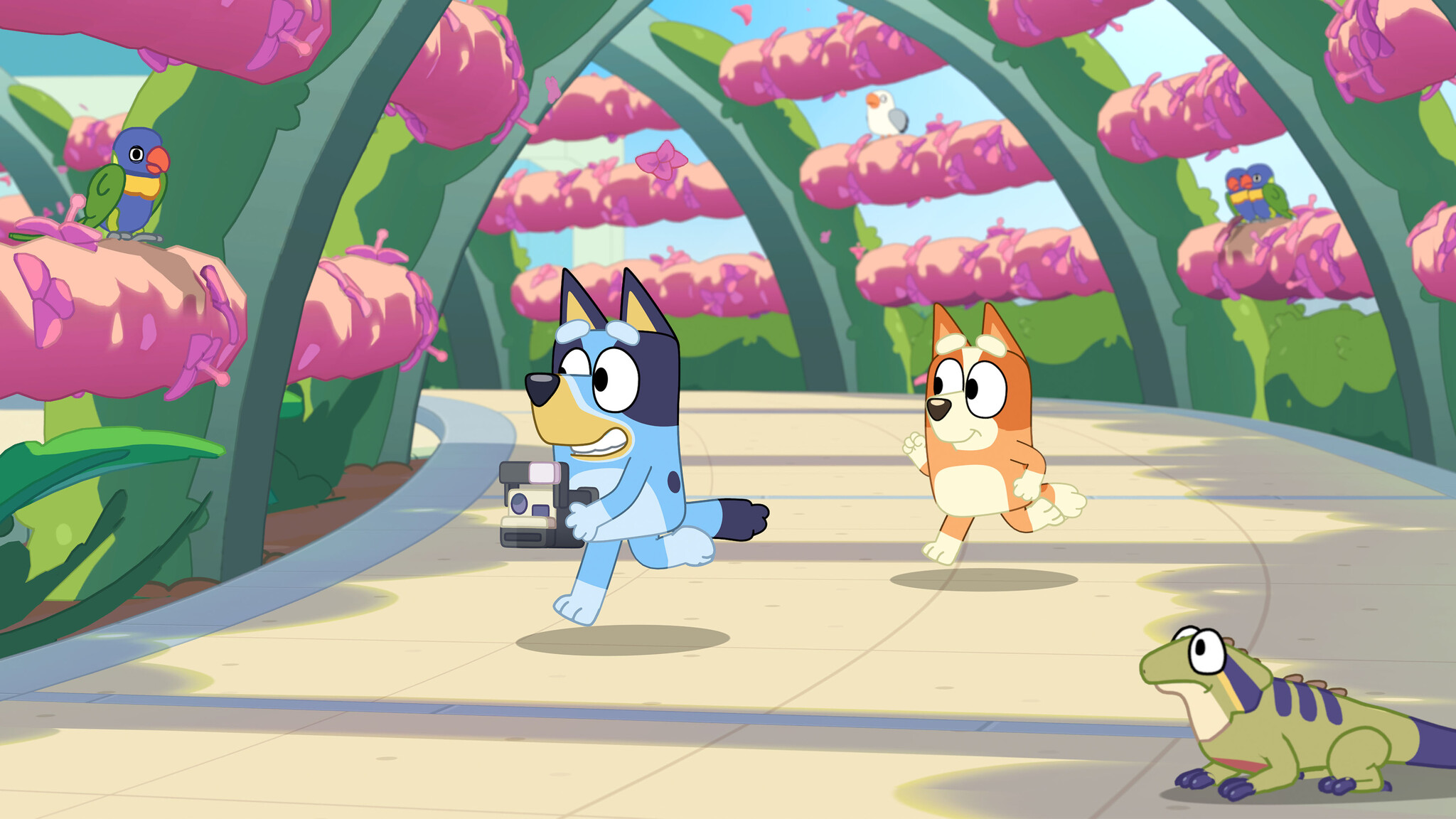 Bandai Namco Nintendo Switch 2 Bluey's Happy Snaps - Deluxe Edition