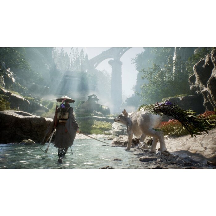 Plaion PS5 Beast of Reincarnation + Pre-Order Bonus