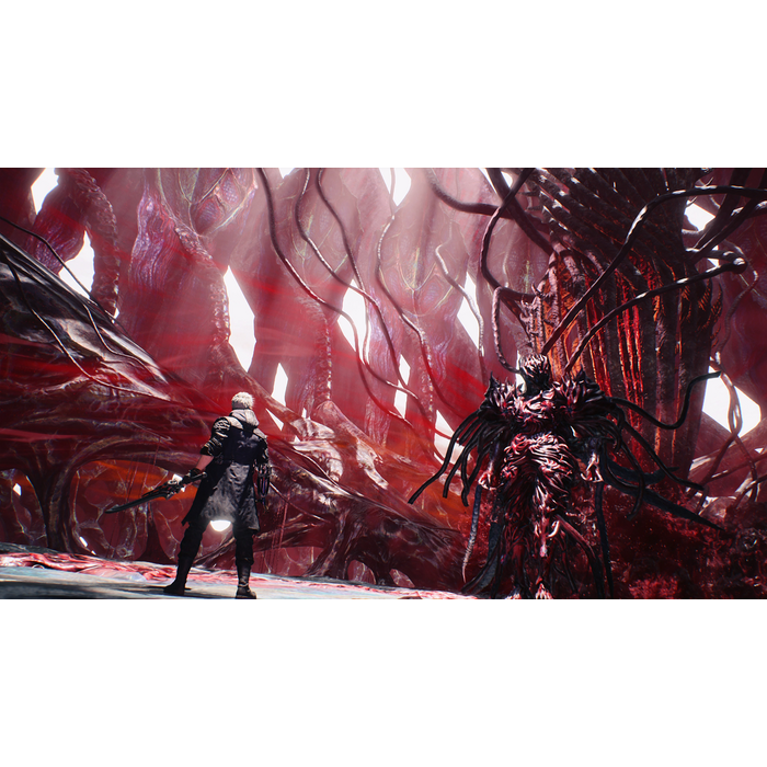 Capcom Nintendo Switch 2 Devil May Cry 5 - Devil Hunter Edition
