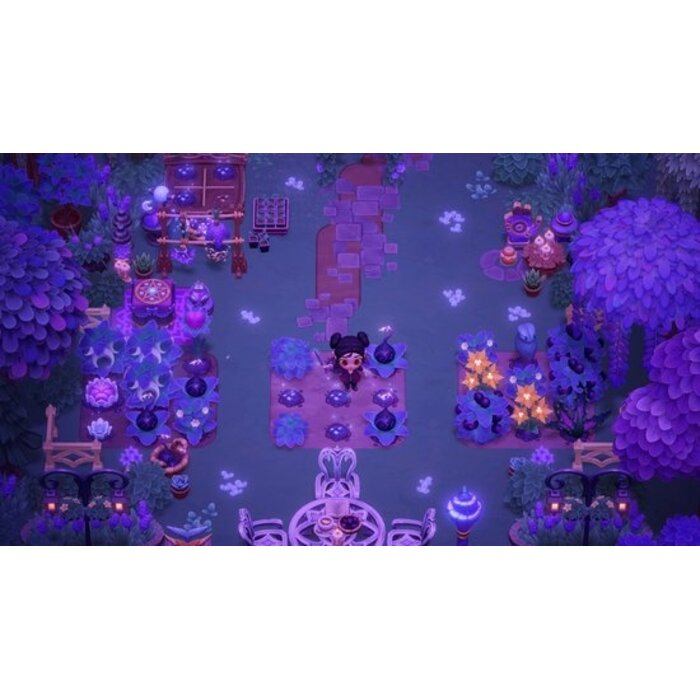 Little Chicken Game Company Nintendo Switch 2 Moonlight Peaks
