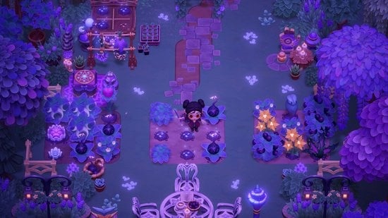 Little Chicken Game Company Nintendo Switch 2 Moonlight Peaks