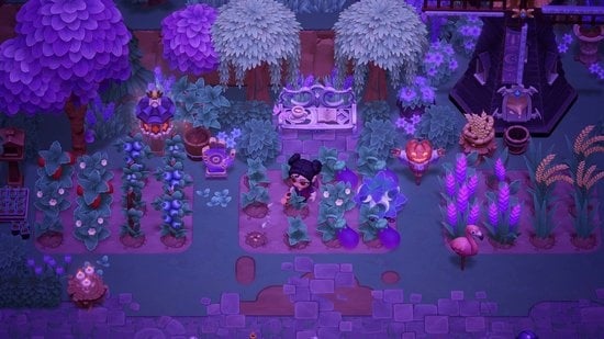 Little Chicken Game Company Nintendo Switch 2 Moonlight Peaks