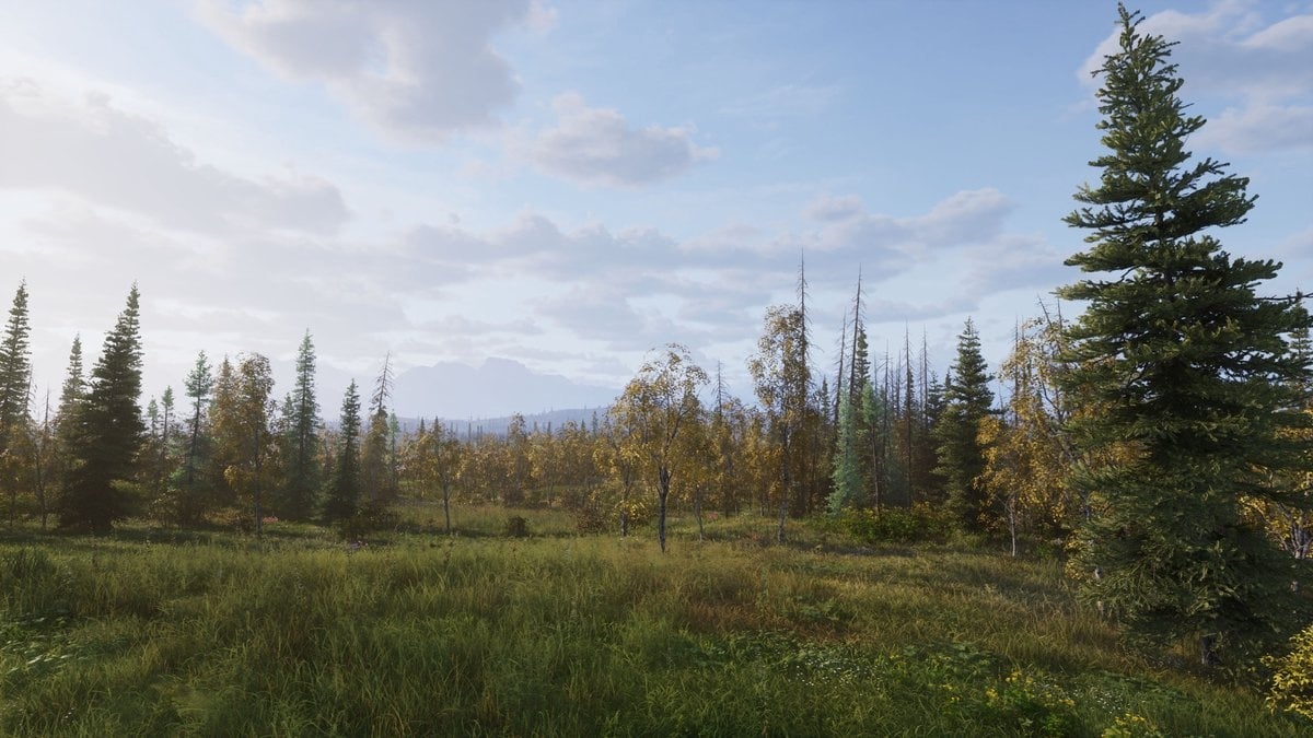 Thq Nordic Xbox X Series Way of the Hunter 2
