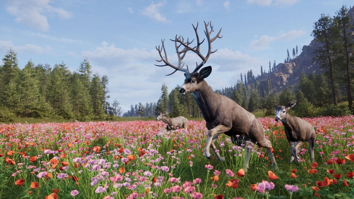 Thq Nordic PS5 Way of the Hunter 2